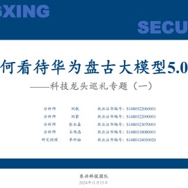 如何看待华为盘古大模型5.0？