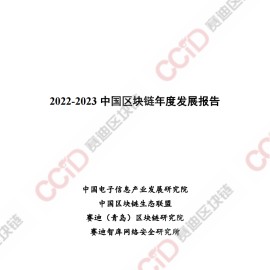 2022-2023 中国区块链年度发展报告