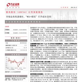 普冉股份研究报告；存储业务高速增长，“MCU+模拟”打开成长空间