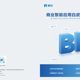 商业智能应用白皮书5.0