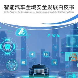 2025年智能汽车全域安全发展白皮书