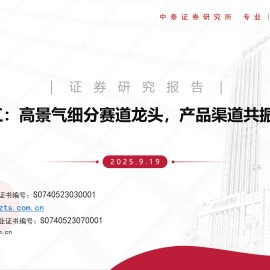 大行科工研究报告：高景气细分赛道龙头，产品渠道共振潜能深厚