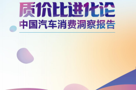 汽车之家：2025质价比进化论：中国汽车消费洞察报告