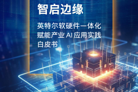 2025智启边缘：英特尔软硬件一体化赋能产业 AI 应用实践白皮书