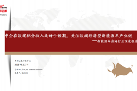 新能源车出海行业深度报告：中企在欧碳积分收入或好于预期，关注欧洲经济型新能源车产业链
