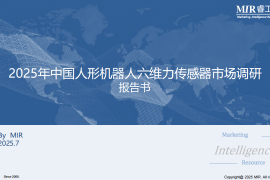 2025年中国人形机器人六维力传感器市场调研报告