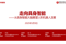 具身机器人行业分析：走向具身智能——从具身智能大脑展望人形机器人发展