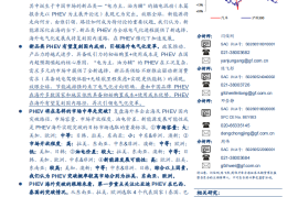 汽车行业专题报告：谁将引领下阶段全球汽车电气化进程？