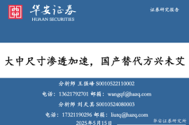 显示技术行业分析：大中尺寸渗透加速，国产替代方兴未艾