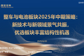 整车与电池行业板块2025年中期策略：新技术与新领域景气共振，优选板块丰富结构性机遇