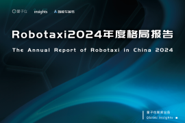 Robotaxi2024年度格局报告