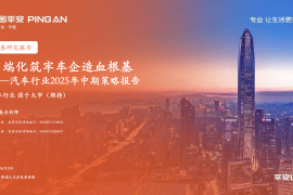 汽车行业2025年中期策略报告：高端化筑牢车企造血根基