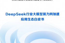 2025DeepSeek行业大模型算力网加速应用生态白皮书