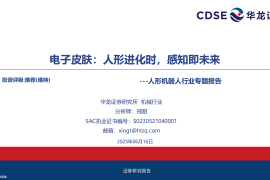 人形机器人行业专题报告：电子皮肤，人形进化时，感知即未来