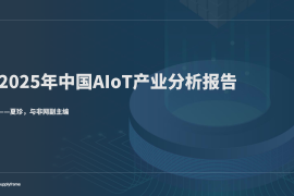 与非网：2025年中国AIoT产业分析报告
