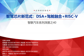 汽车智驾芯片新范式：DSA+驾舱融合+RISC~V