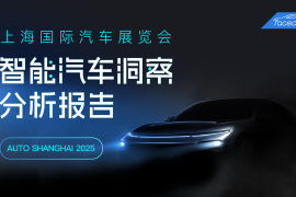2025上海车展智能汽车洞察分析报告