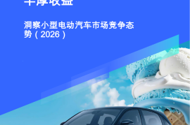 洞察小型电动汽车市场竞争态势（2026）-低利润、高销量的小型电动电动汽车使汽车制造商获得丰厚收益