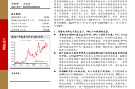 东山精密研究报告：东观大势，山铸基石，消电与汽电双驱动