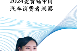 2024麦肯锡中国汽车消费者洞察报告