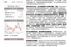 爱玛科技研究报告：国内市场稳健发展份额有望提升，海外市场成长潜力大前瞻布局新曲线