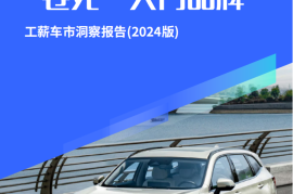 工薪车市洞察报告（2024版）：二手车加速“卷死”入门品牌