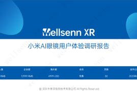wellsenn 小米AI眼镜用户体验调研报告