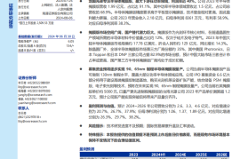 N龙图研究报告：专注半导体掩膜版，国产替代潜力巨大