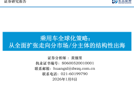 乘用车行业全球化策略：从全面扩张走向分市场分主体的结构性出海