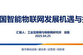 中国通信院：2025年中国智能物联网发展机遇与挑战报告
