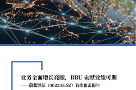 蔚蓝锂芯研究报告：业务全面增长亮眼，BBU贡献业绩可期