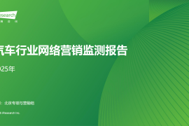 2025年汽车行业网络营销监测报告