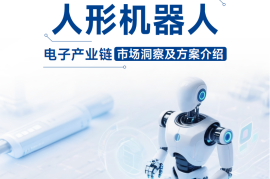 芯查查：2025人形机器人产业链市场洞察及方案介绍报告