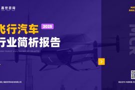 嘉世咨询：2025年飞行汽车行业报告