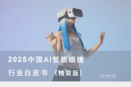 2025中国AI智能眼镜行业白皮书
