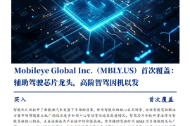 Mobileye公司研究：辅助驾驶芯片龙头，高阶智驾因机以发