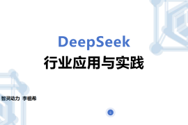 DeepSeek行业应用与实践