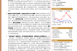 赛轮轮胎研究报告：全球布局持续深化，民族巨头加速崛起