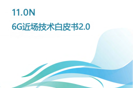 2025年6G近场技术白皮书2.0-未来移动通信论坛