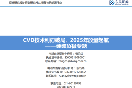 锂电池行业硅碳负极专题：CVD技术利刃破局，2025年放量起航