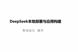 DeepSeek模型本地部署与应用构建