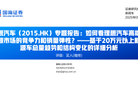 理想汽车研究报告：如何看理想汽车高端新能源市场的竞争力和销量弹性？—基于20万元以上新能源车总量趋势和结构变化的详细分析