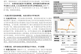 莱斯信息研究报告：民航空管龙头，卡位低空经济基础设施先行者