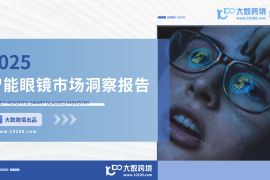 大数跨境：2025智能眼镜市场洞察报告