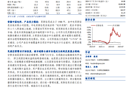 莱斯信息研究报告：电科系空中轨交系统提供商，低空经济建设优质企业