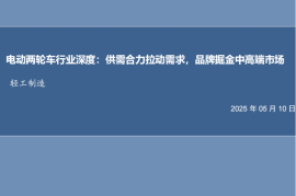 电动两轮车行业深度分析：供需合力拉动需求，品牌掘金中高端市场