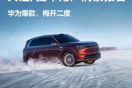 问界M8大定、提车用户洞察报告——电动汽车用户联盟出品