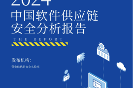 2024中国软件供应链安全分析报告