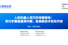 人形机器人灵巧手行业深度报告：灵巧手赛道蓝海可期，各类新技术百花齐放