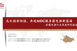 车载电源行业深度研究报告：龙头强者恒强，奔赴AIDC服务器电源新蓝海